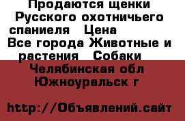 Продаются щенки Русского охотничьего спаниеля › Цена ­ 25 000 - Все города Животные и растения » Собаки   . Челябинская обл.,Южноуральск г.